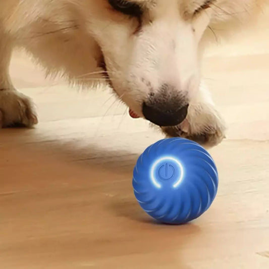 De zelfrollende speelbal voor honden en katten in de kleur blauw. Een hond speelt met de automatische hondenbal.