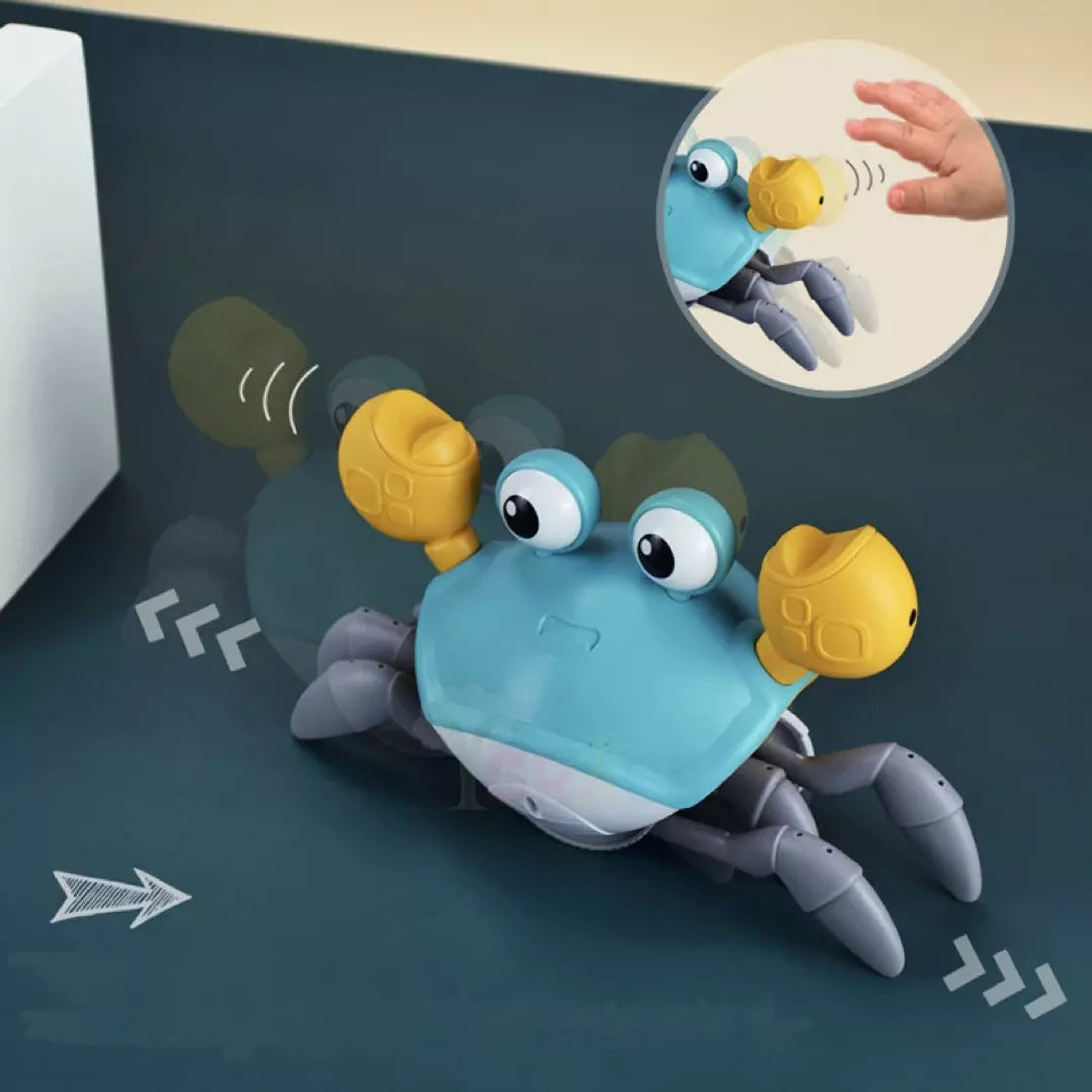 De bewegende krab met muziek in de kleur blauw.  Dit babyspeelgoed is perfect voor het stimuleren van motorische vaardigheden waaronder kruipen en leren lopen. De sensoren worden uitgelicht.