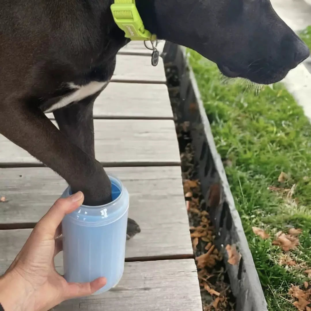 De draagbare poten reiniger in de kleur blauw. Een hond heeft zijn poot in de draagbare poten reiniger.
