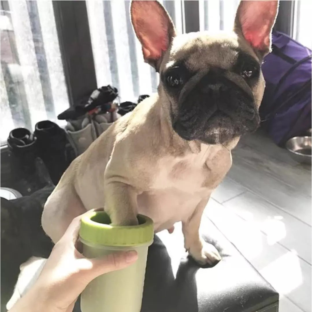 De draagbare poten reiniger in de kleur groen. Een hond heeft zijn poot in de draagbare poten reiniger.