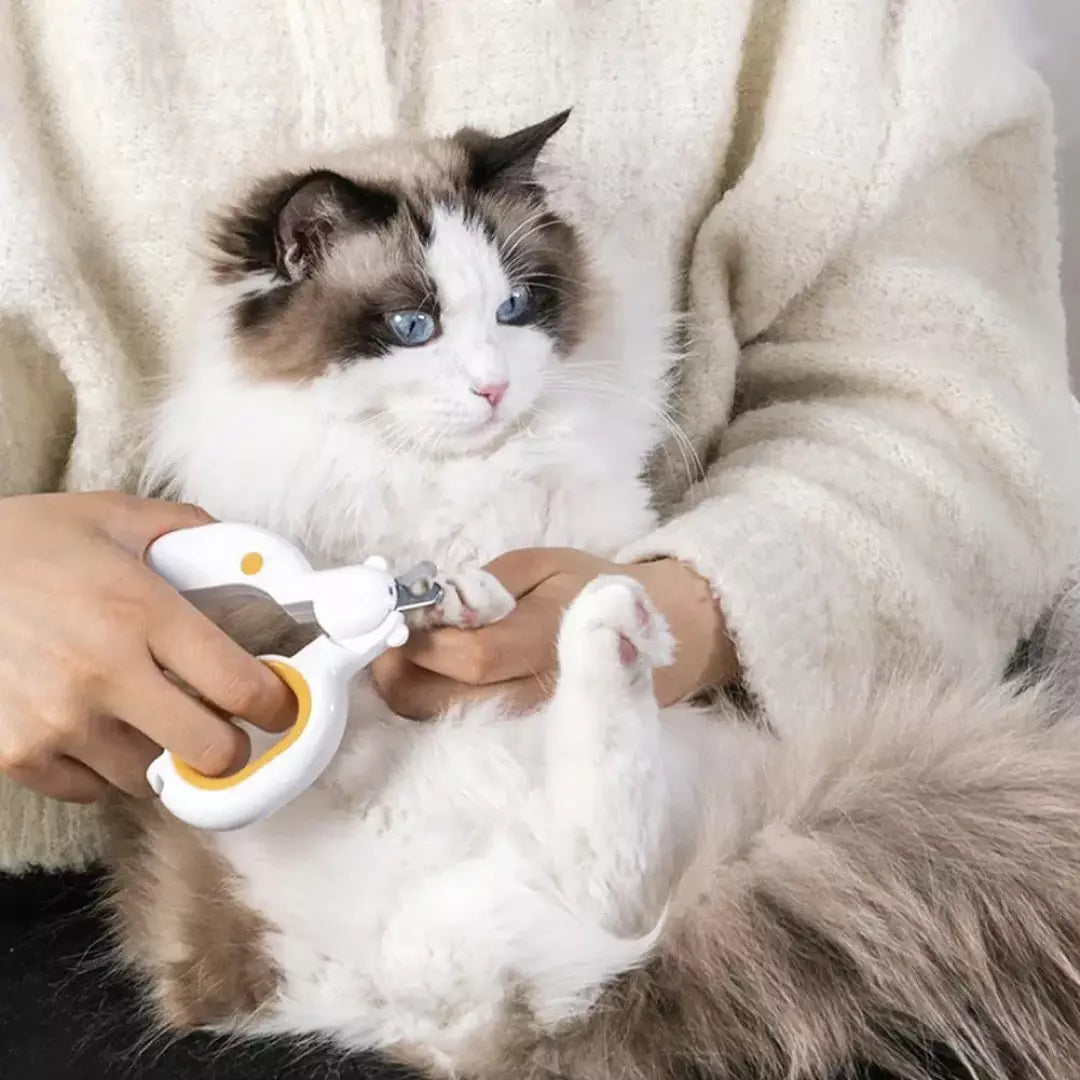 De nagelknipper voor huisdieren met ingebouwd LED licht wordt gebruikt bij een kat.