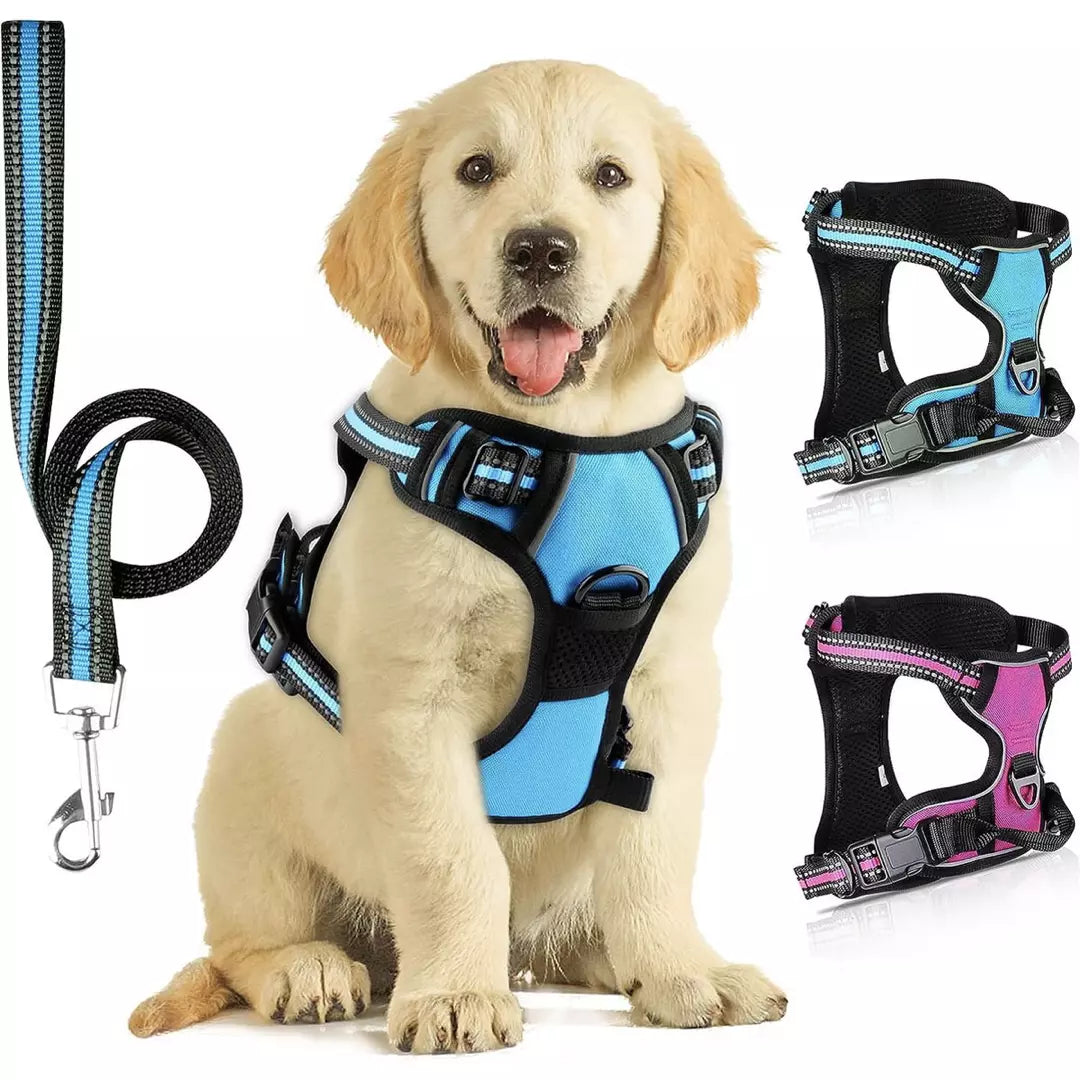 Reflecterend honden harnas in de kleur blauw en roze. Het honden harnas wordt gedragen door een labrador.
